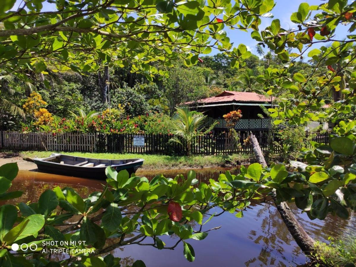Madre Selva Hostel Puerto Viejo de Talamanca Esterno foto