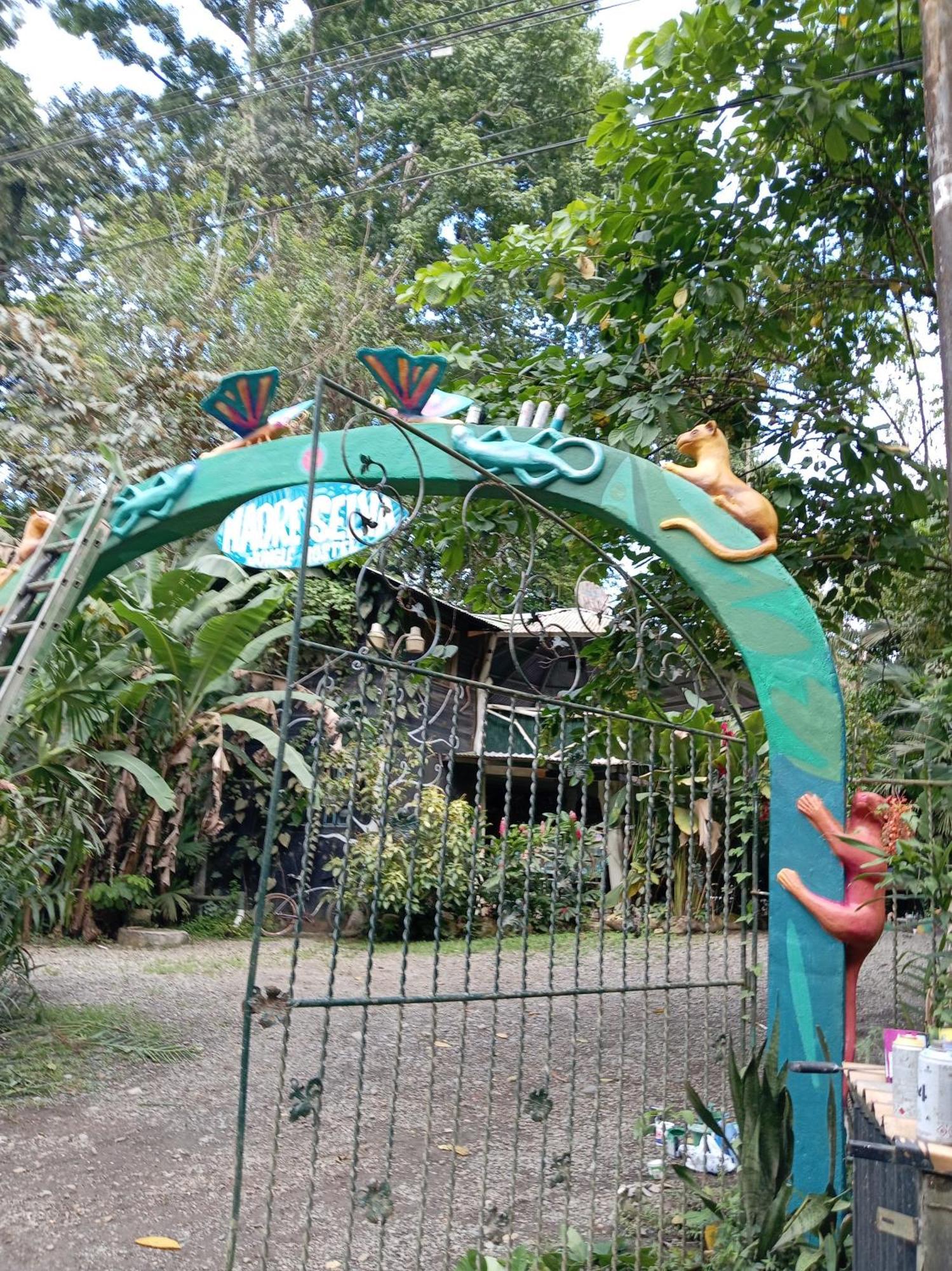Madre Selva Hostel Puerto Viejo de Talamanca Esterno foto